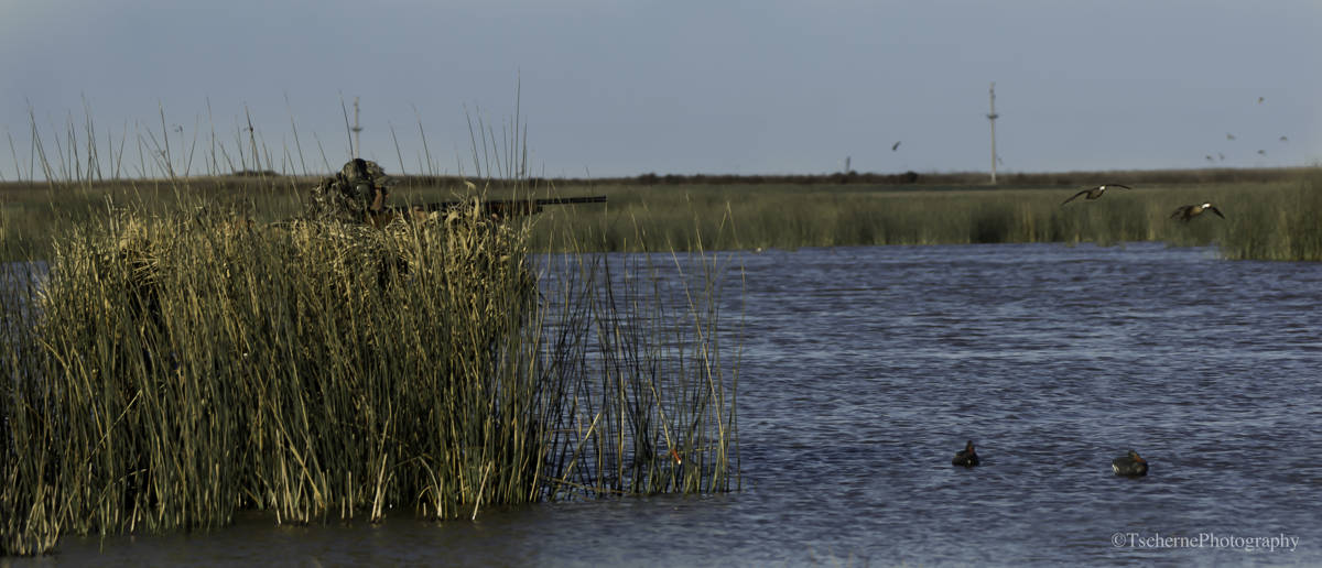 Hunting accommodation