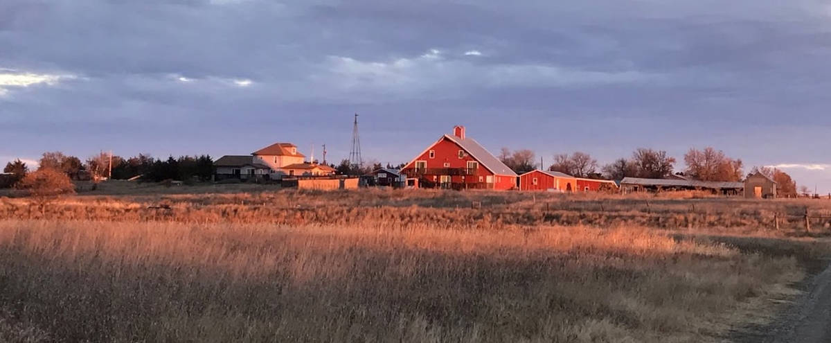 Hunting accommodation