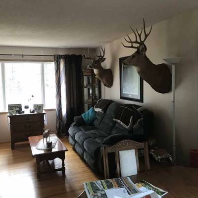 Hunting accommodation