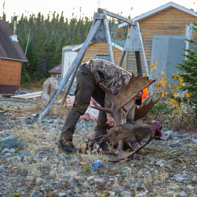 Hunting accommodation