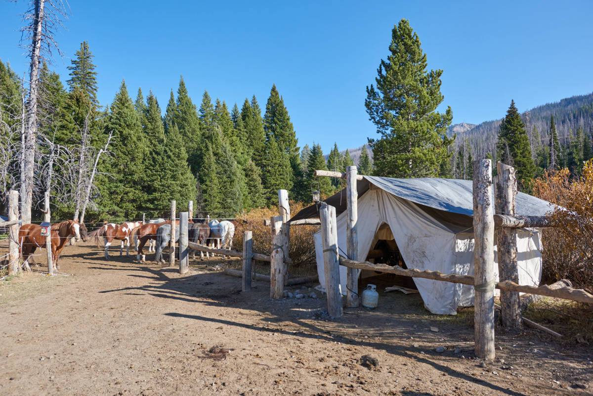 Hunting accommodation