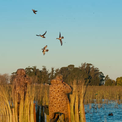 Hunting accommodation