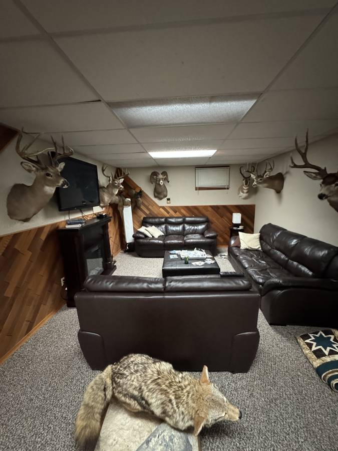 Hunting accommodation