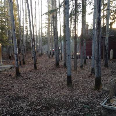 Hunting accommodation