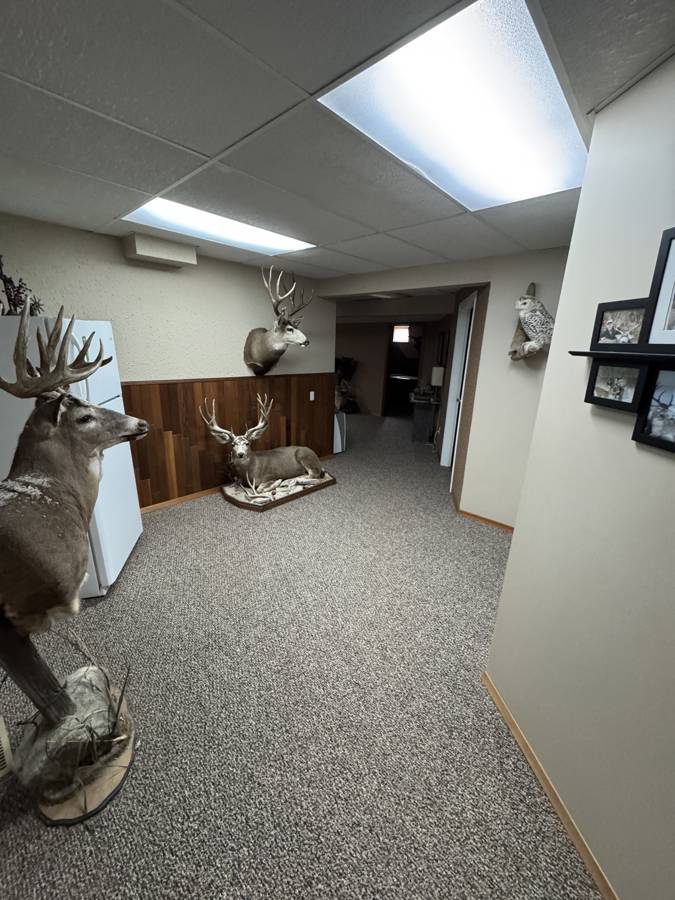 Hunting accommodation