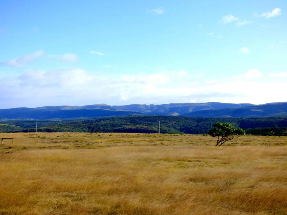 Hunting accommodation