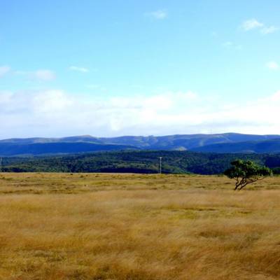 Hunting accommodation