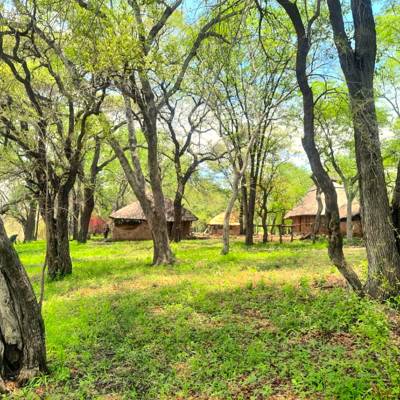 Hunting accommodation