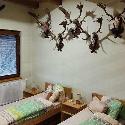 Hunting accommodation