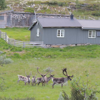 Hunting accommodation