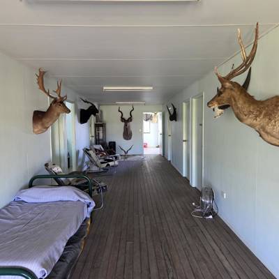 Hunting accommodation