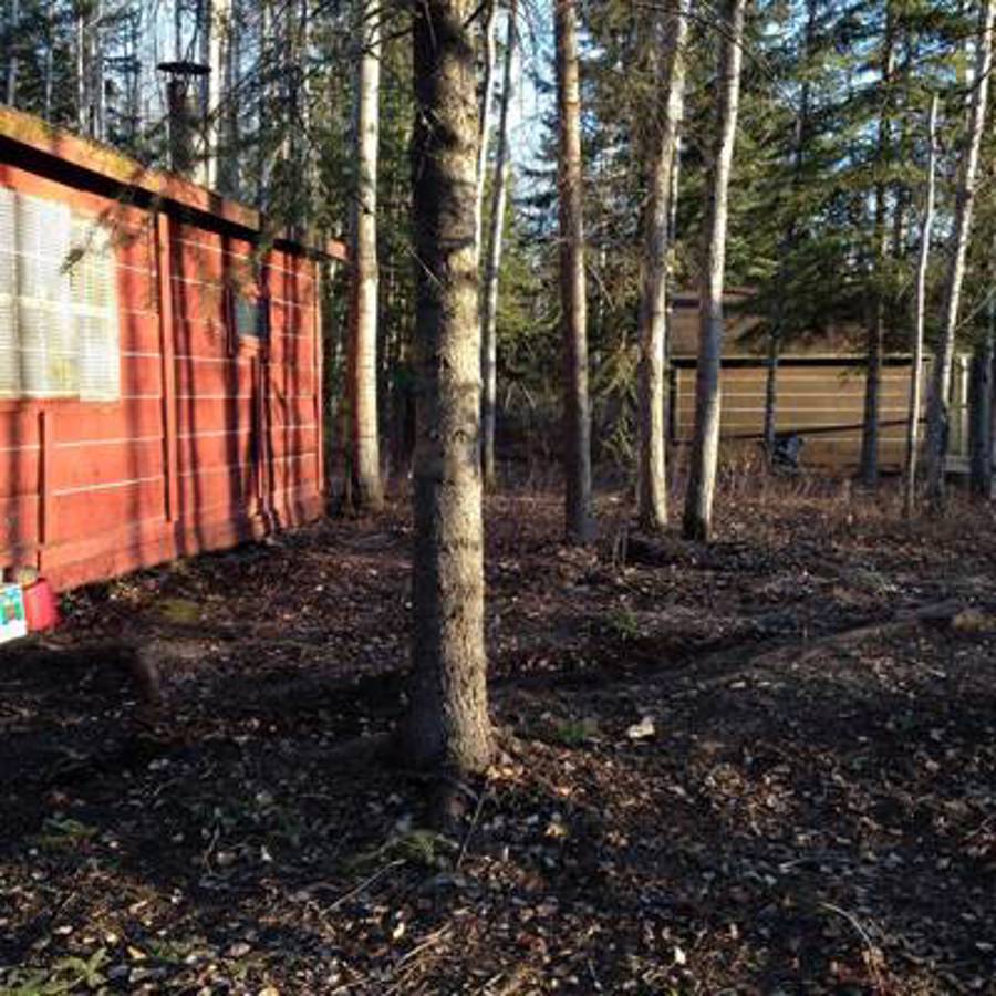 Hunting accommodation