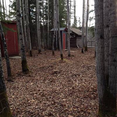 Hunting accommodation