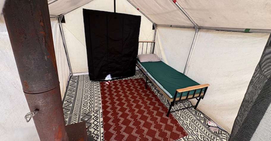 on Fall Blacktail British Columbia, Canada