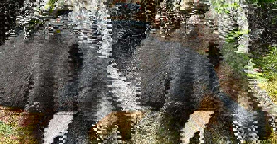 2027 - Spring Black Bear Hunt