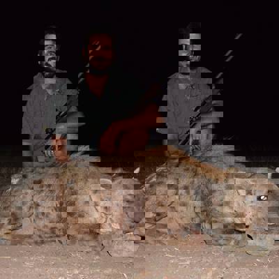 Spotted Hyena Specialty Hunt
