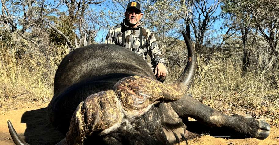 Classic Buffalo, Limpopo