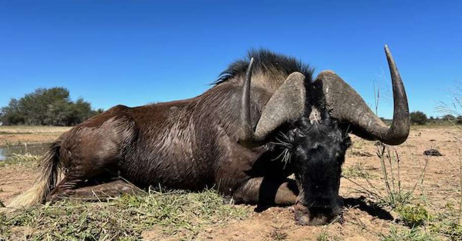 Namibia Hunter's Paradise (Pkg 3)