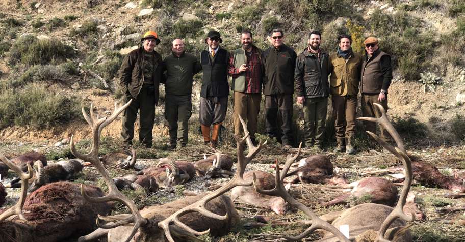 Spanish Monteria Driven Hunt