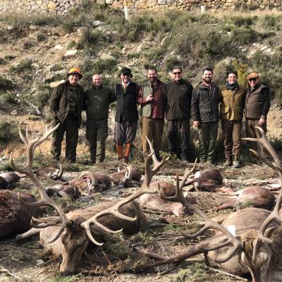 Spanish Monteria Driven Hunt