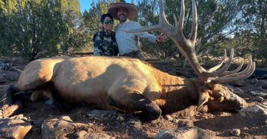 5 Day Guide Only Bull Elk Hunt