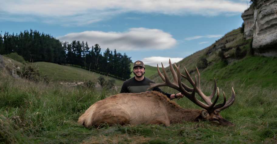 New Zealand Elk / Wapiti 380 SCI