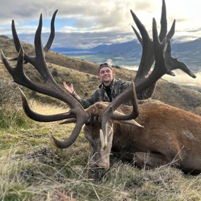 Last Dates! Red Stag, Fallow Buck & Tahr