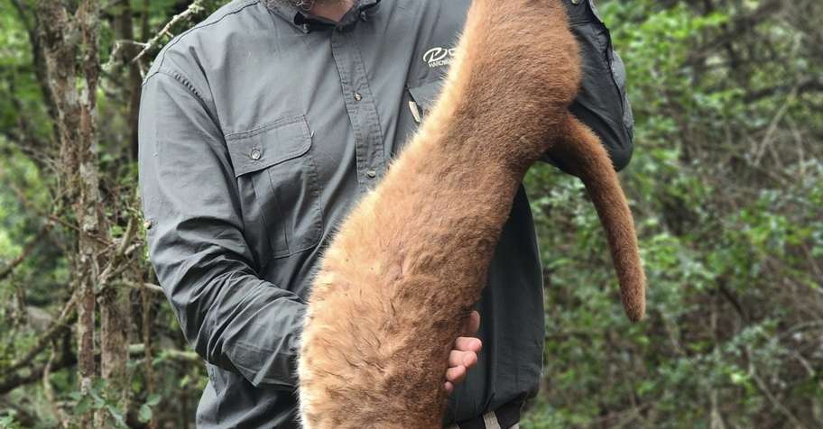 Coastal Safari - Free Range E. Cape