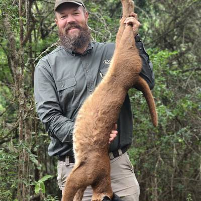 Coastal Safari - Free Range E. Cape