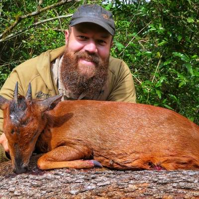 Red Duiker Safari