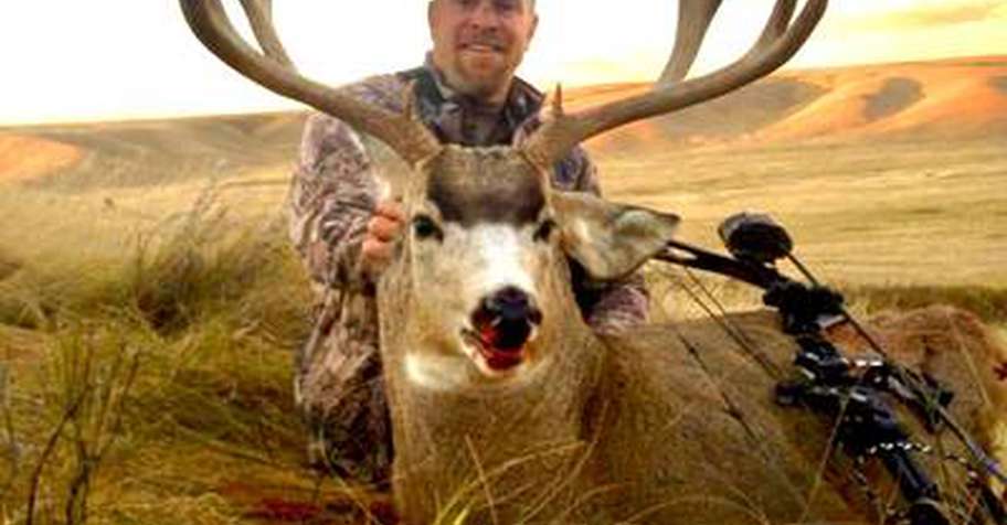 6 Day Archery Mule Deer Hunt 1x1 '26