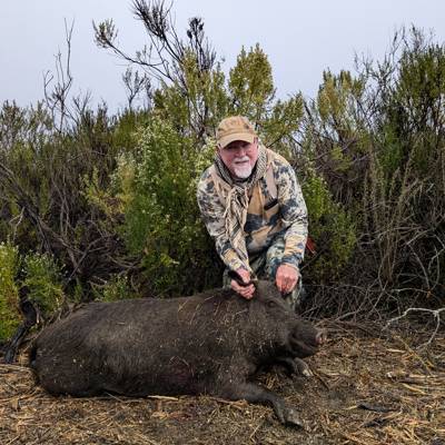 Hog Hunt