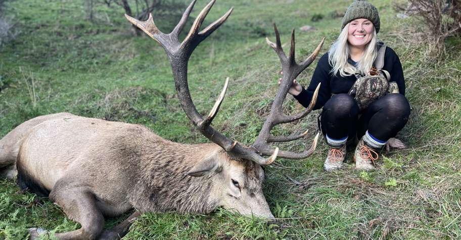 2026 SPECIAL - RED STAG & FALLOW BUCK