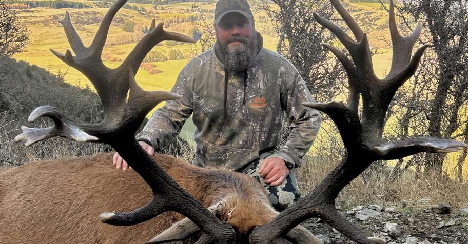 Red Stag SPECIAL up to 450 SCI