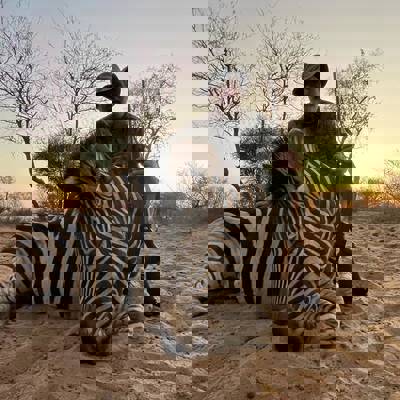 Zebra hunting package 2026