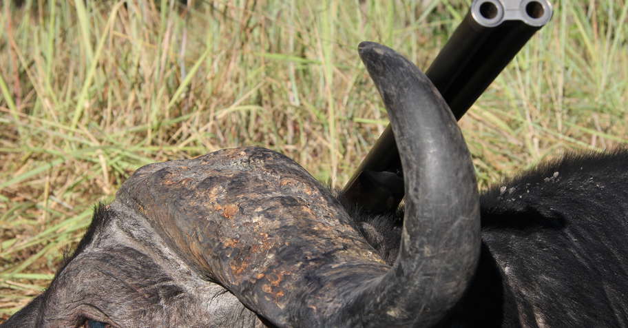 10 Day Mountain Buffalo & Sable Package