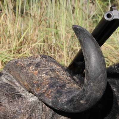 10 Day Mountain Buffalo & Sable Package