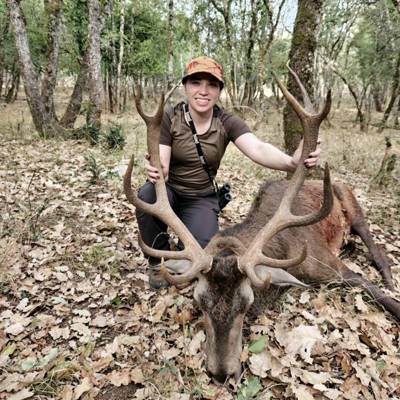 Red Stag Hunting in Southern France