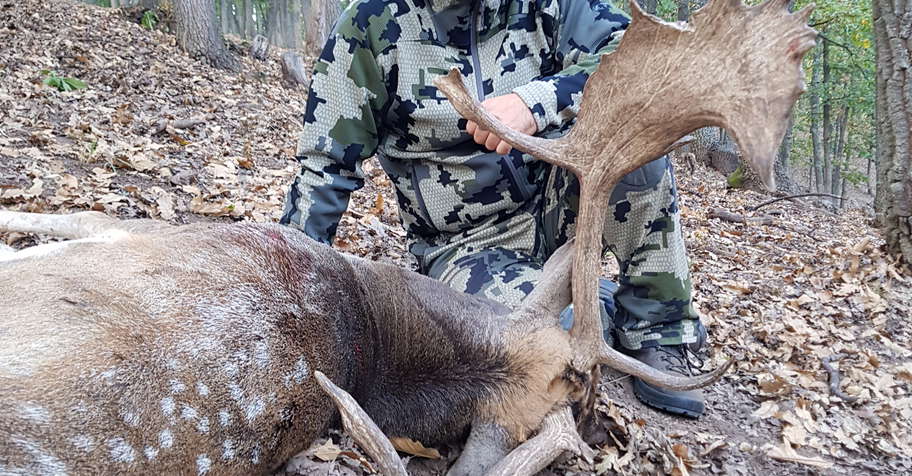 Fallow dееr silver medal hunt Bulgaria