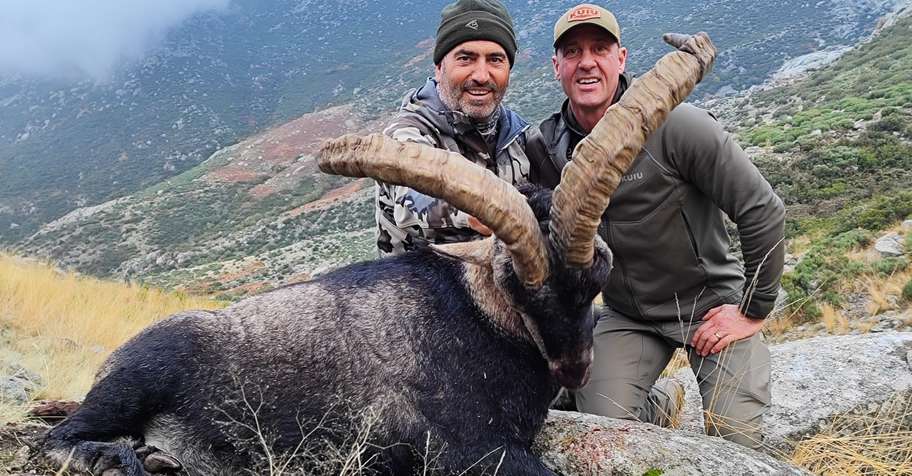Gredos Ibex Hunt