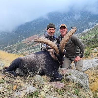 Gredos Ibex Hunt