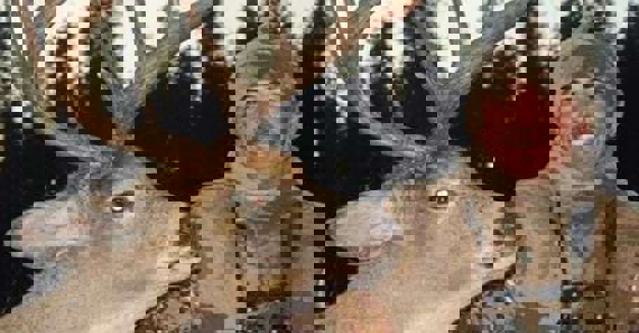 8 Day Archery Combo Deer Hunt 1x1 '26