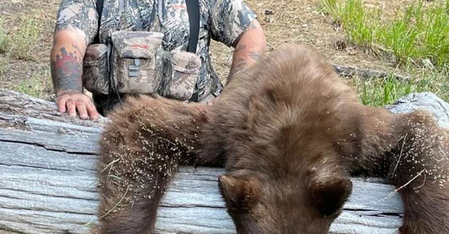 Bear Hunt