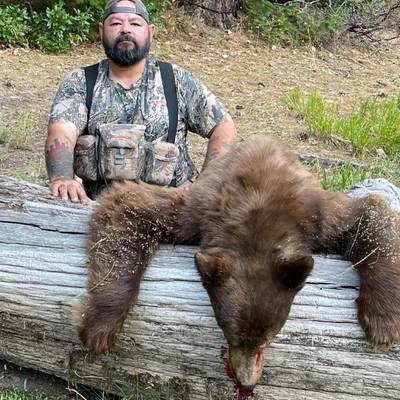 Bear Hunt
