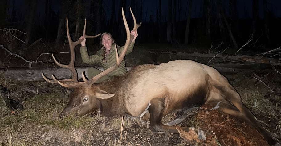 Elk hunt