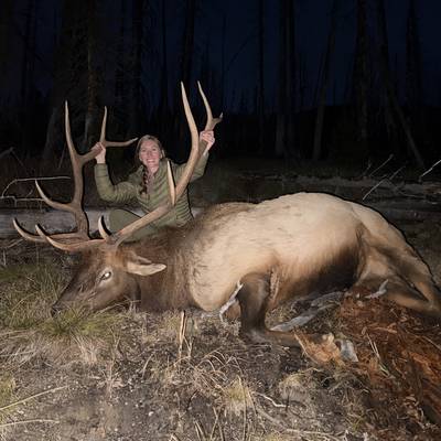 Elk hunt