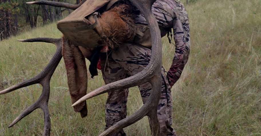 799-21 Permit 1X1 Archery Elk Hunt