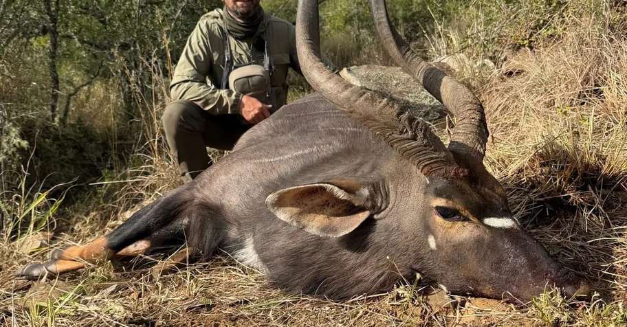 Kudu & Nyala Package