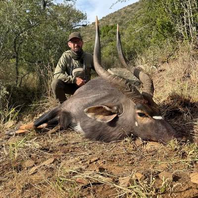 Kudu & Nyala Package