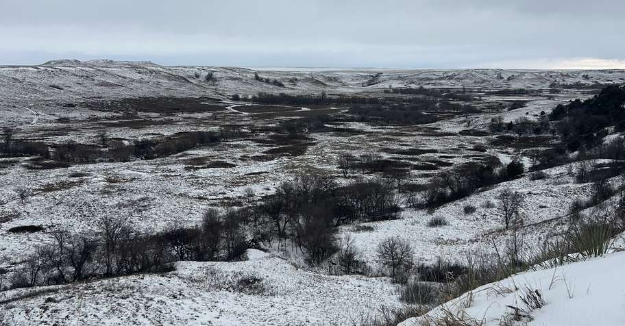 SG Coyote Hunt $400 day per group